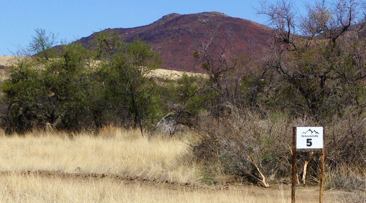 Campsite 5