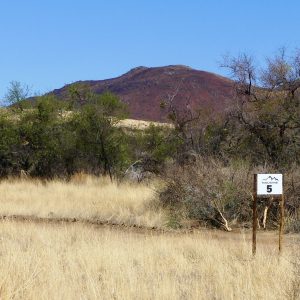 CAMP 5