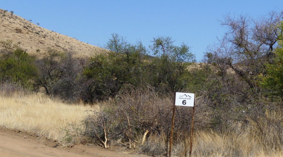 Campsite 6