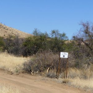 CAMP 6